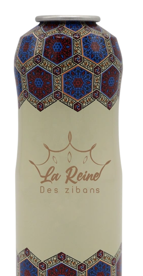 Rdz Aeresol Can
